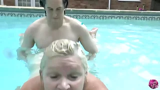 253 busty porn videos